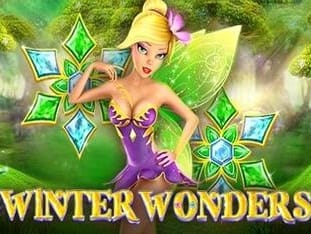 Winter Wonders game cover